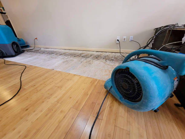 Professional Basement Flood Cleanup technician working in Maple Valley, WA